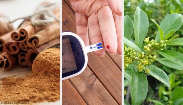 5 лечебни растения, помагащи при диабет