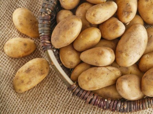 Картофите са един от най-използваните зеленчуци в цял свят.