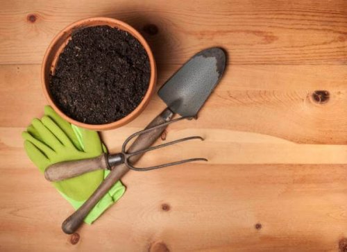Градински растения: градински инструменти и саксия с пръст