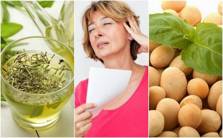 5 натурални продукта за контролиране на менопаузата
