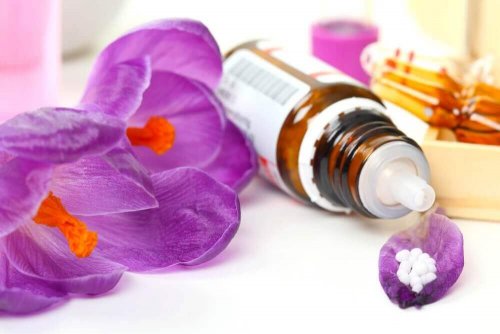 Научете лесно и бързо за терапията с цветните есенции на д-р Бах