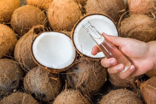 Кокосови орехи и една ръка дърви кокосово масло в шишенце.