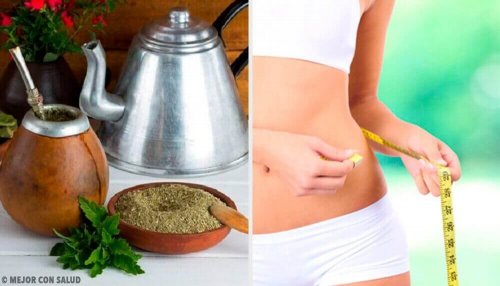 Ползите на чая мате: помага ли отслабването?