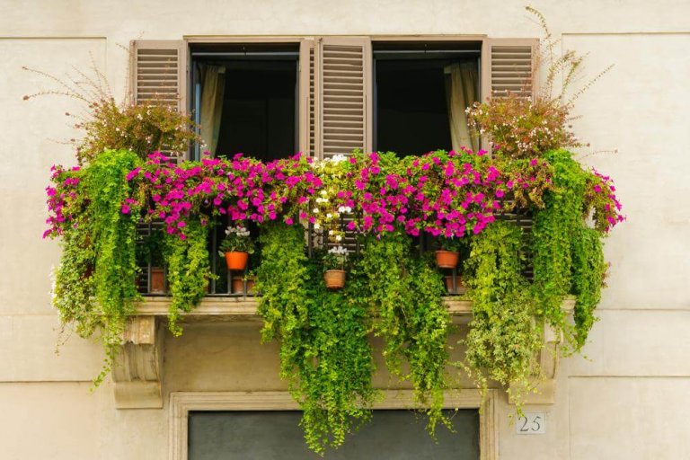 14 идеи за мини градини придаващи хармония на балкона