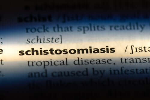 Какво представлява шистозомиазата и как става заразяването с нея?