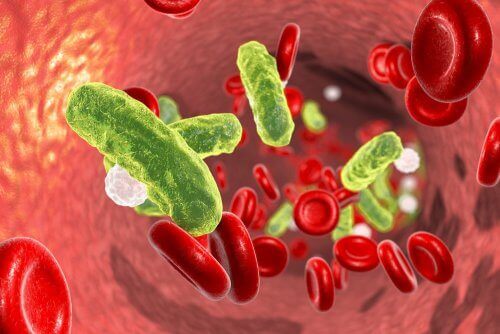 Неонаталната инфекция: снимка на бактерии и червени кръвни клетки