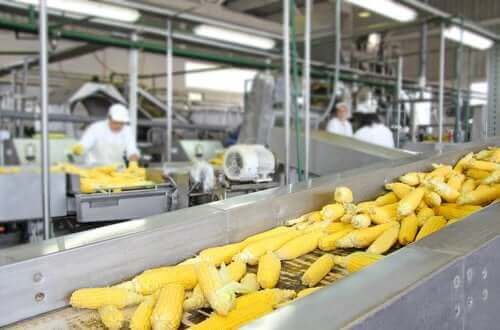Влиянието на обработването на храната върху качествата й