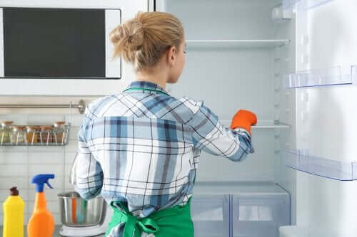 За почистване на хладилника: 8 екологично чисти средства