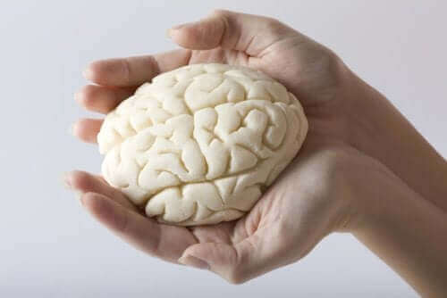Човешки мозък