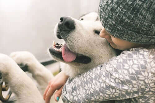 Кучешките целувки момиче прегръща куче