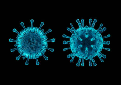 Кучешкият коронавирус: 5 неща, които трябва да знаете