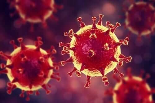Психологични съвети против паниката от епидемията на коронавируса