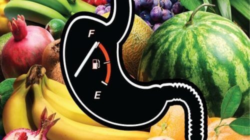 Скоростта на хранене: снимка на плодове и рисунка на стомаха