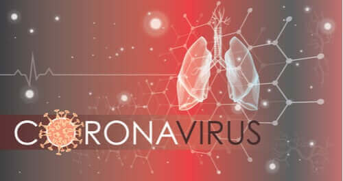 Как коронавирусът заразява клетките в белите дробове