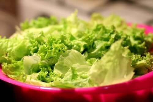Сортове маруля: салата от маруля в червена купа