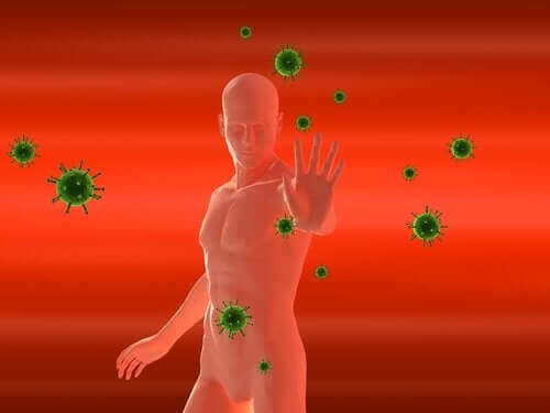 Имунната система активира защитните сили на организма в борбата срещу инфекциите.