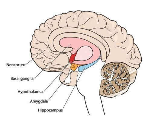 Проблеми при ходенето: запознайте се с атетозата