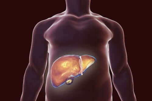 Диета за здрав жлъчен мехур: плюсове и минуси