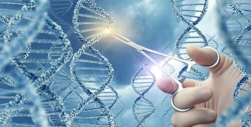 Какво представляват генните мутации?