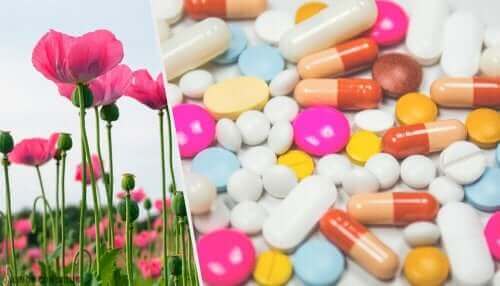 Опиоидите: колаж на маково поле и лекарства