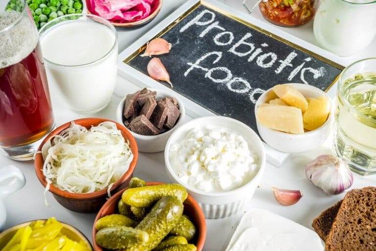 Каква е разликата между пребиотиците и пробиотиците?