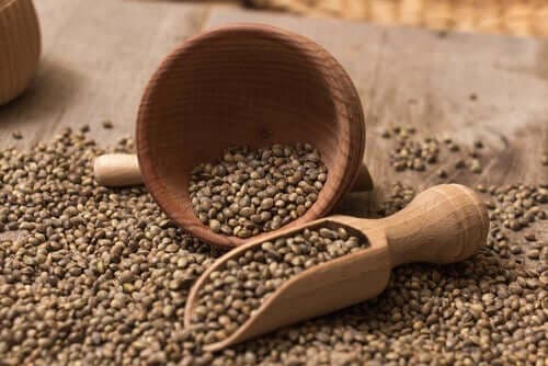 Протеинов шейк със зеленчуци: семена от коноп