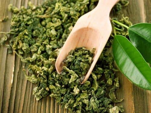 Снимка на зелен чай сухи листа и свежи листа