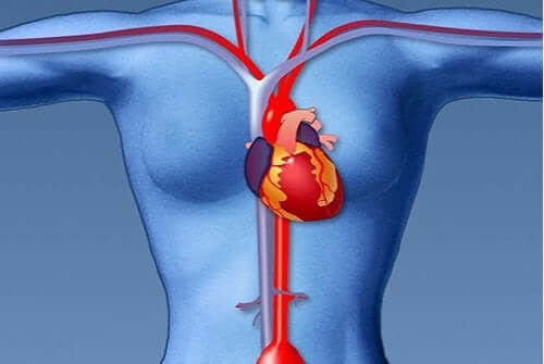 Необичайни симптоми на сърдечен удар: схема на сърце в женско тяло