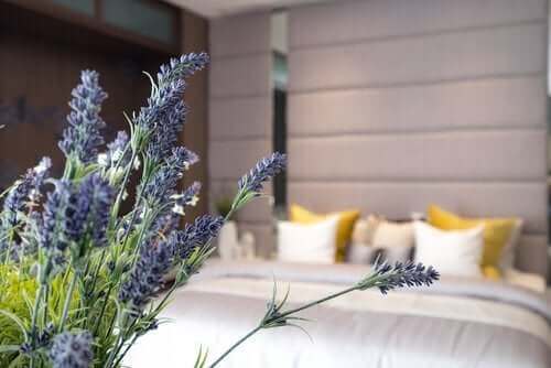 10 хитрости за добра хигиена на сън