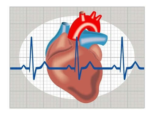 Дигитален модел на сърце