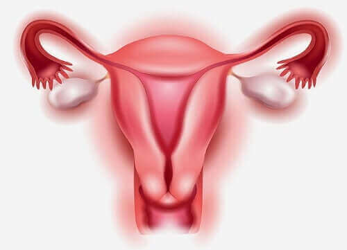 Преждевременна екстирпация на яйчниците преди менопаузата