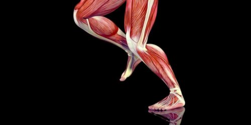 Тригерните точки и болката в мускулите