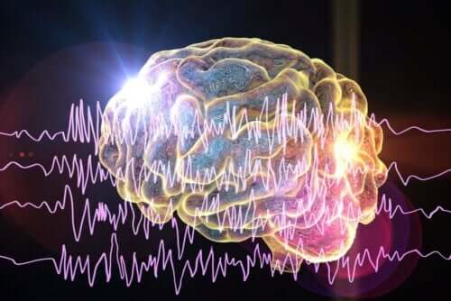 Видове епилепсия - всичко по темата