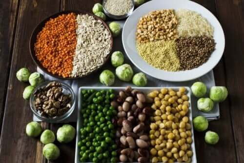 Функцията на протеините в организма - защита