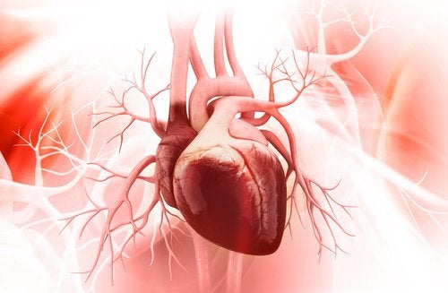 7 съвета за здраво сърце