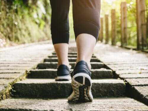 Полезна ли е за здравето разходката след хранене?