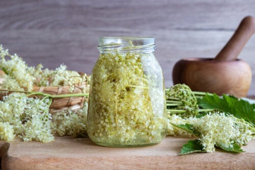 Възможни ползи и противопоказания на блатния тъжник