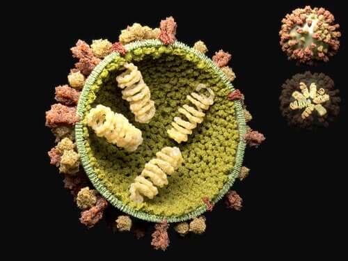 Репродуктивният цикъл на вирусите