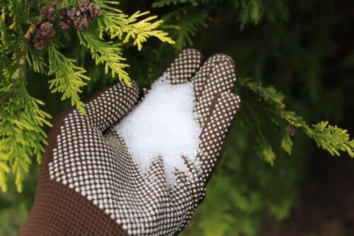 10 начина да използвате английска сол във вашата градина