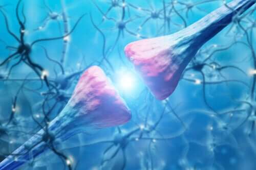 Характеристики и функция на невроните