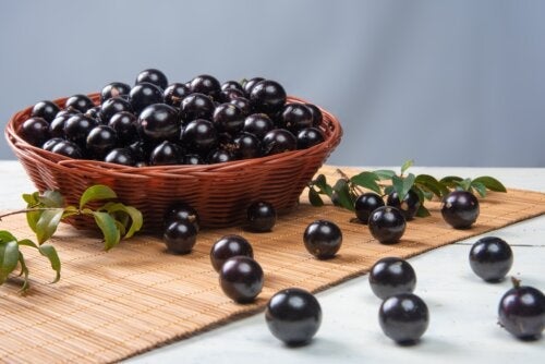 Плод Jabuticaba: ползи и как да го консумирате