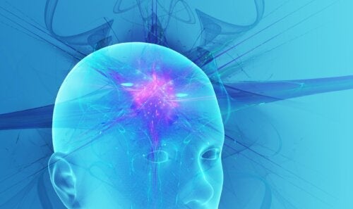 Какви са различните състояния на човешкото съзнание?