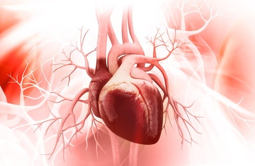5 ключа за предотвратяване на синдрома на разбитото сърце