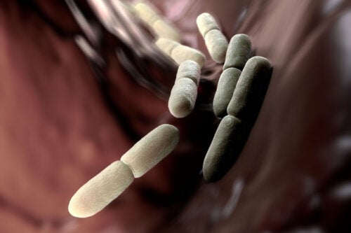 Синдром на автоферментация: Защо се появява?