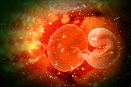 Какво е осиновяване на ембриони и какви са предимствата му?