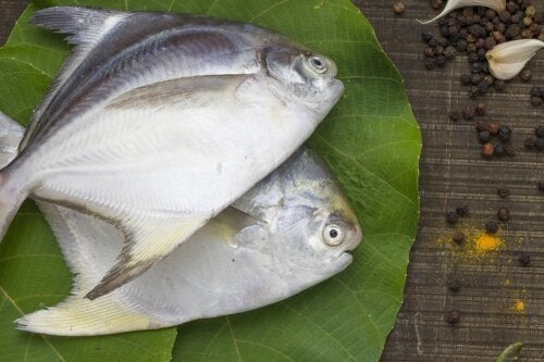 Паломета – риба богата на протеини