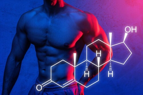 Синтез на протеини: Ще ви обясним как можете да увеличите максимално покачването на мускулната си маса