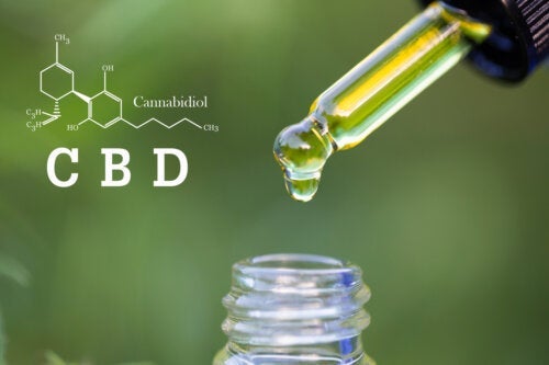CBD при болест на Крон и улцерозен колит