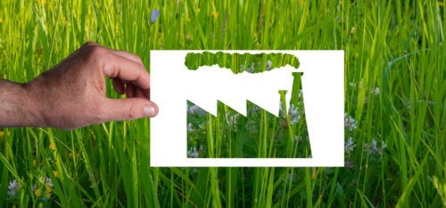 Как да разпознаем Greenwashing