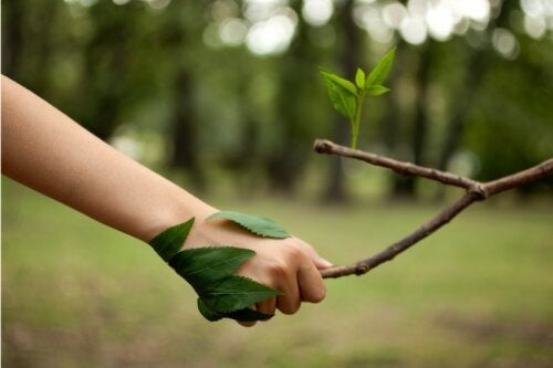 14-те най-добри цитата за любителите на природата